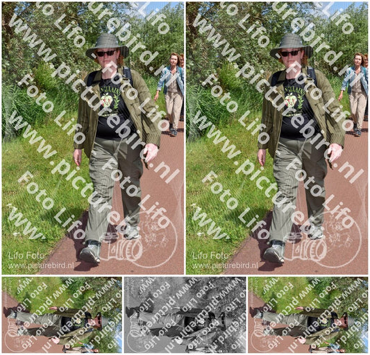 Evenement foto: Serie 223