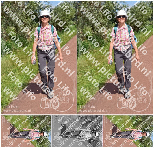 Evenement foto: Serie 223