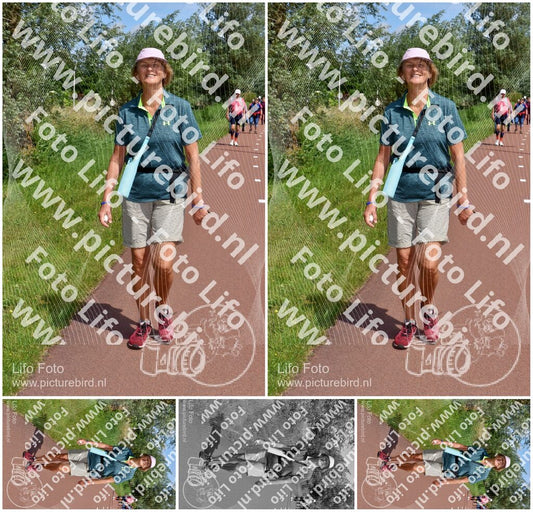Evenement foto: Serie 223