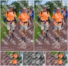Evenement foto: Serie 223