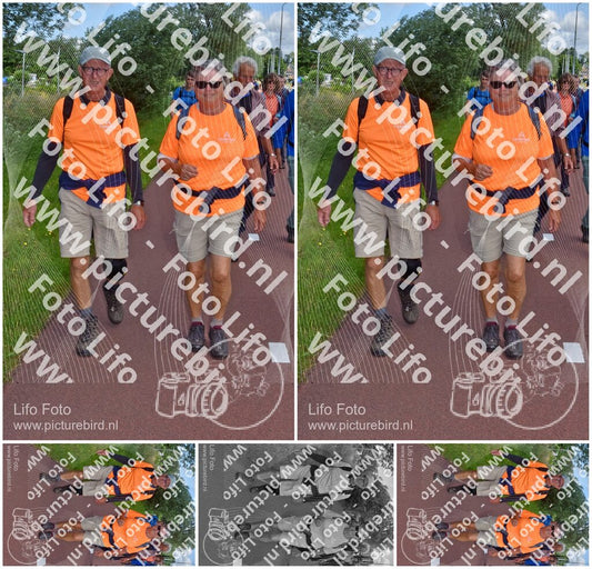 Evenement foto: Serie 223