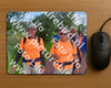 Evenement foto: Serie 223
