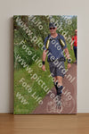 Evenement foto: Serie 224