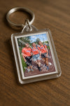 Evenement foto: Serie 224