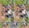 Evenement foto: Serie 225