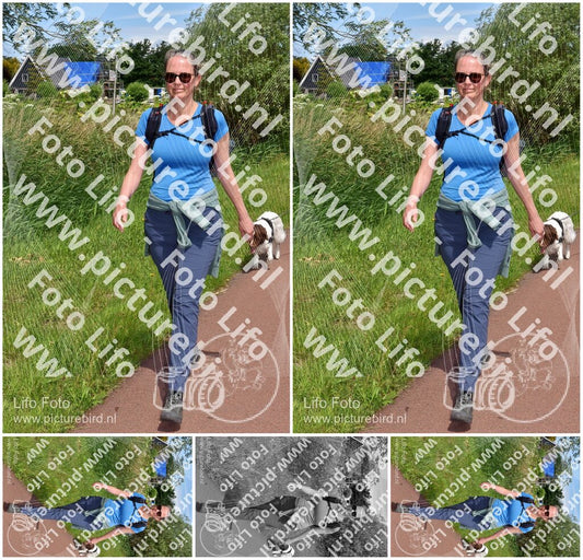 Evenement foto: Serie 225