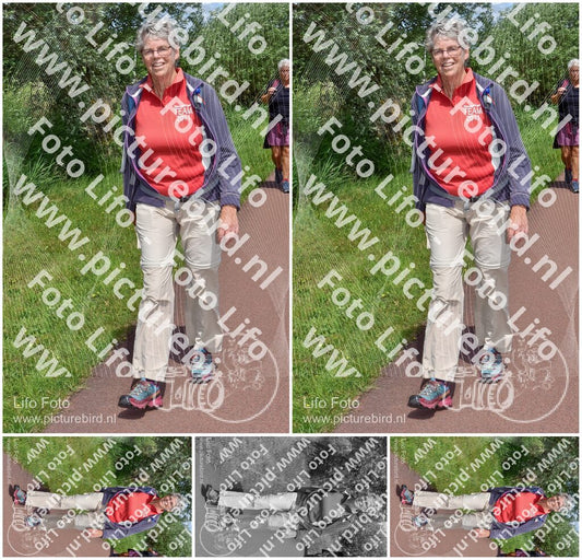 Evenement foto: Serie 255