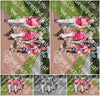 Evenement foto: Serie 255