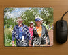 Evenement foto: Serie 256
