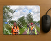 Evenement foto: Serie 257