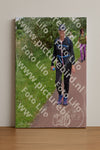 Evenement foto: Serie 257