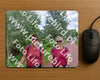 Evenement foto: Serie 257