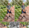 Evenement foto: Serie 257