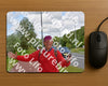 Evenement foto: Serie 257