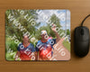 Evenement foto: Serie 257