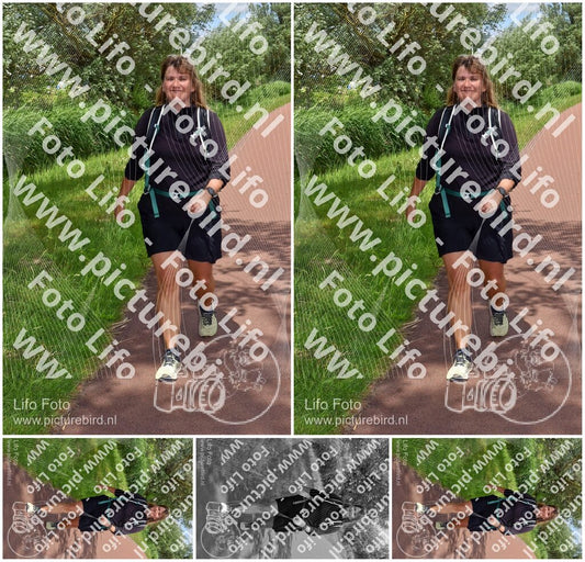 Evenement foto: Serie 257