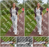 Evenement foto: Serie 258