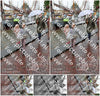 Evenement foto: Serie 1941