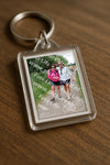 Evenement foto: Serie 263