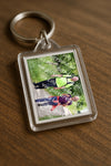 Evenement foto: Serie 263