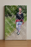 Evenement foto: Serie 263