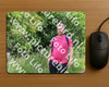 Evenement foto: Serie 263
