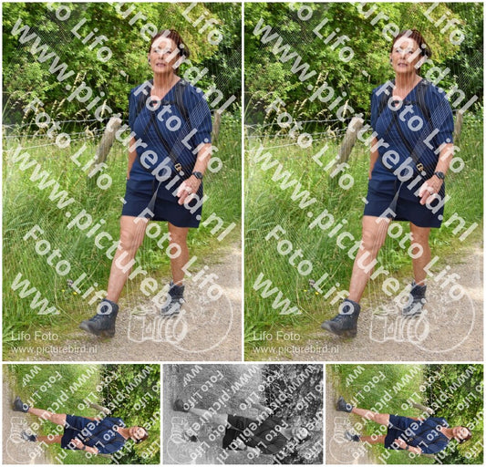 Evenement foto: Serie 263