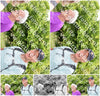 Evenement foto: Serie 264
