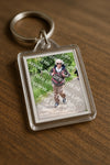Evenement foto: Serie 264