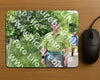 Evenement foto: Serie 264