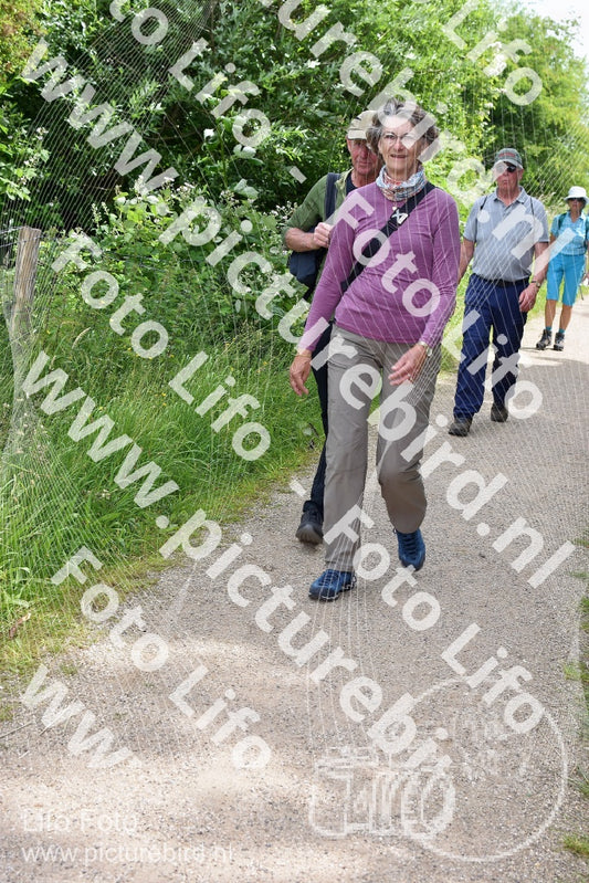 Evenement foto: Serie 264
