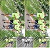Evenement foto: Serie 264