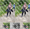 Evenement foto: Serie 264