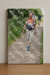 Evenement foto: Serie 264