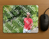 Evenement foto: Serie 264