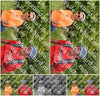 Evenement foto: Serie 264