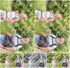 Evenement foto: Serie 264
