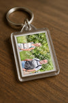 Evenement foto: Serie 264