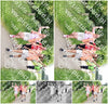 Evenement foto: Serie 264