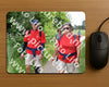 Evenement foto: Serie 264