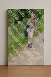 Evenement foto: Serie 265