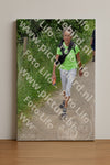 Evenement foto: Serie 265