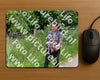 Evenement foto: Serie 266
