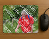 Evenement foto: Serie 266