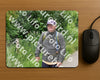 Evenement foto: Serie 266