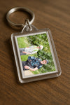 Evenement foto: Serie 267