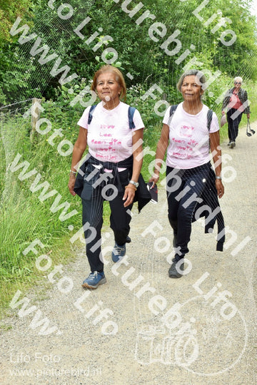 Evenement foto: Serie 267