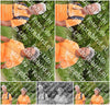 Evenement foto: Serie 267