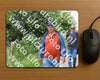 Evenement foto: Serie 268
