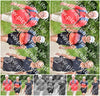 Evenement foto: Serie 269
